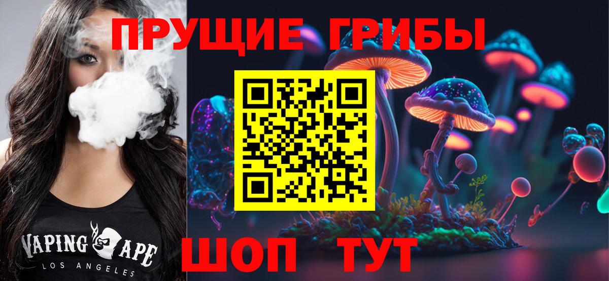 Псилоцибиновые грибы ЛСД Грозный