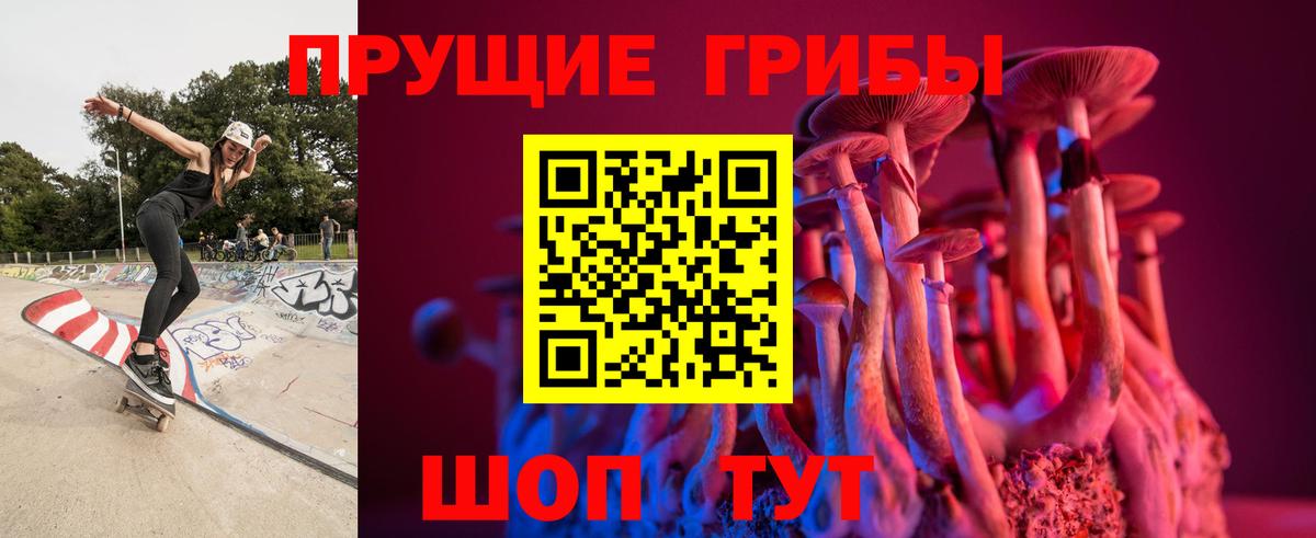 Псилоцибиновые грибы мухоморы  Вход с VPN  цены   Галлюциногенные грибы GOLDEN TEACHER  Грозный 